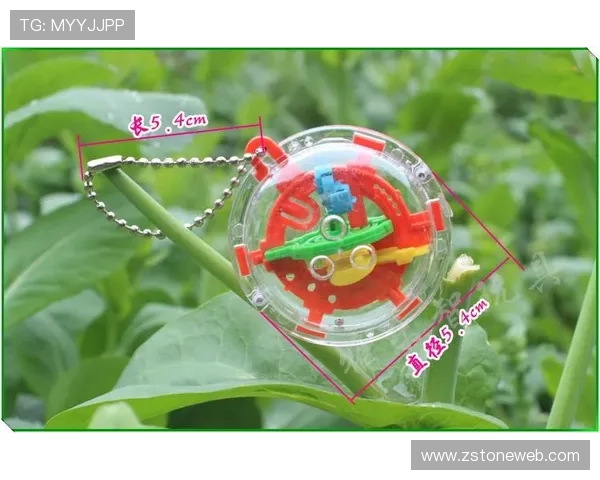 深圳飞盘队的耐力挑战与训练策略全面解析