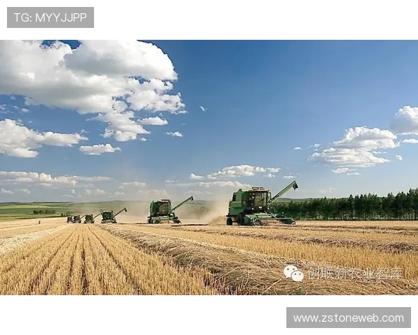 代怀博的崛起与挑战：探讨新兴行业中的机遇与未来发展方向