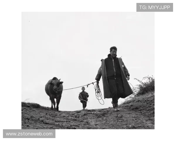 探索阿拉巴的魅力与文化底蕴,体验独特的风土人情与自然风光 探索阿拉巴的魅力与文化底蕴,体验独特的风土人情与自然风光