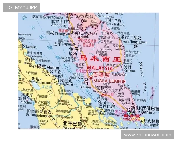 新加坡与印尼足球对决全面分析与未来走势预测