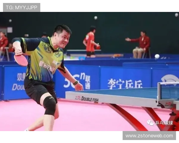 从零基础到高手之路乒乓球力量训练全方位指南 从零基础到高手之路乒乓球力量训练全方位指南