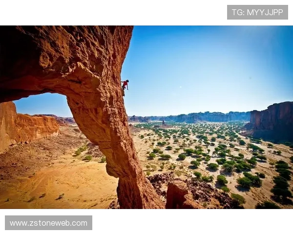 杭州极限运动队在世界攀岩锦标赛中的表现与经验分享